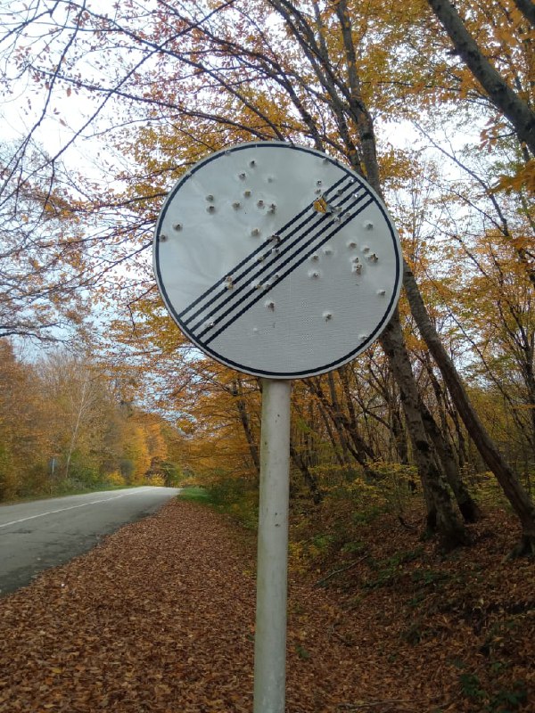 В Краснодарском крае неизвестные открыли стрельбу на автотрассе 
