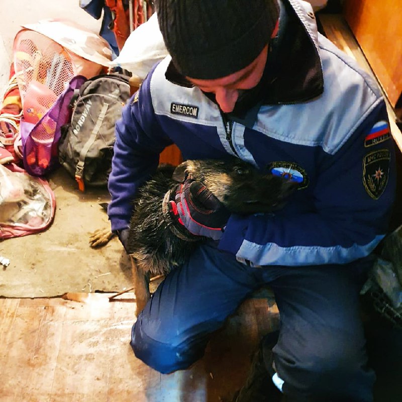 В Тимашевске в 12-метровый колодец упал щенок