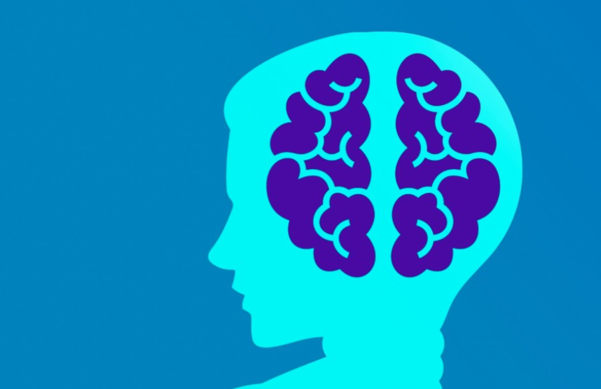 Фото: pxhere.com