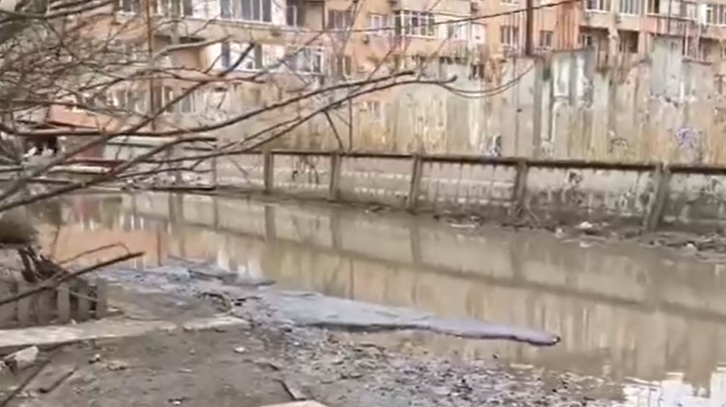 скриншот видео