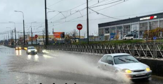 Фото: ТГ-канал Типичный Краснодар