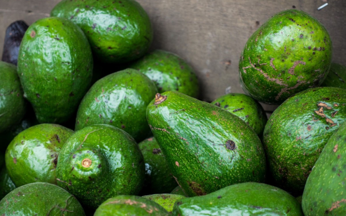 Фото: pxhere.com