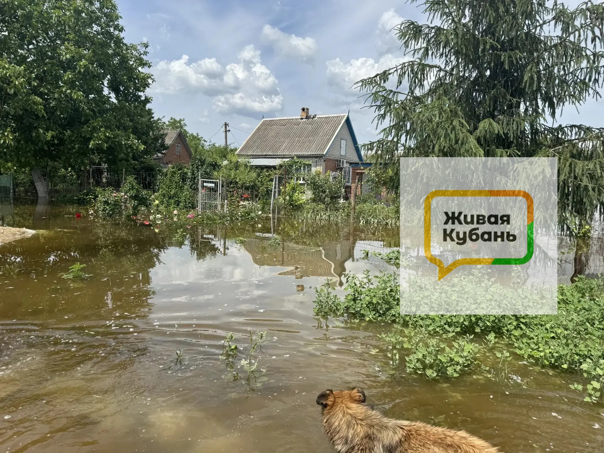 вода