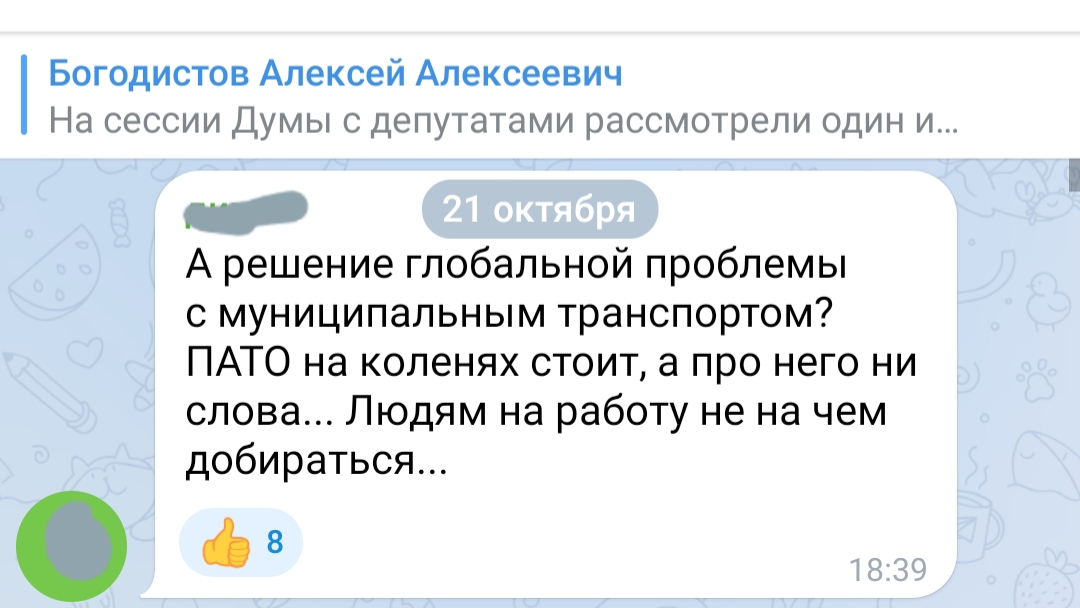 ПАТОвая ситуация: кому на руку «убийство» транспортного предприятия в Геленджике?