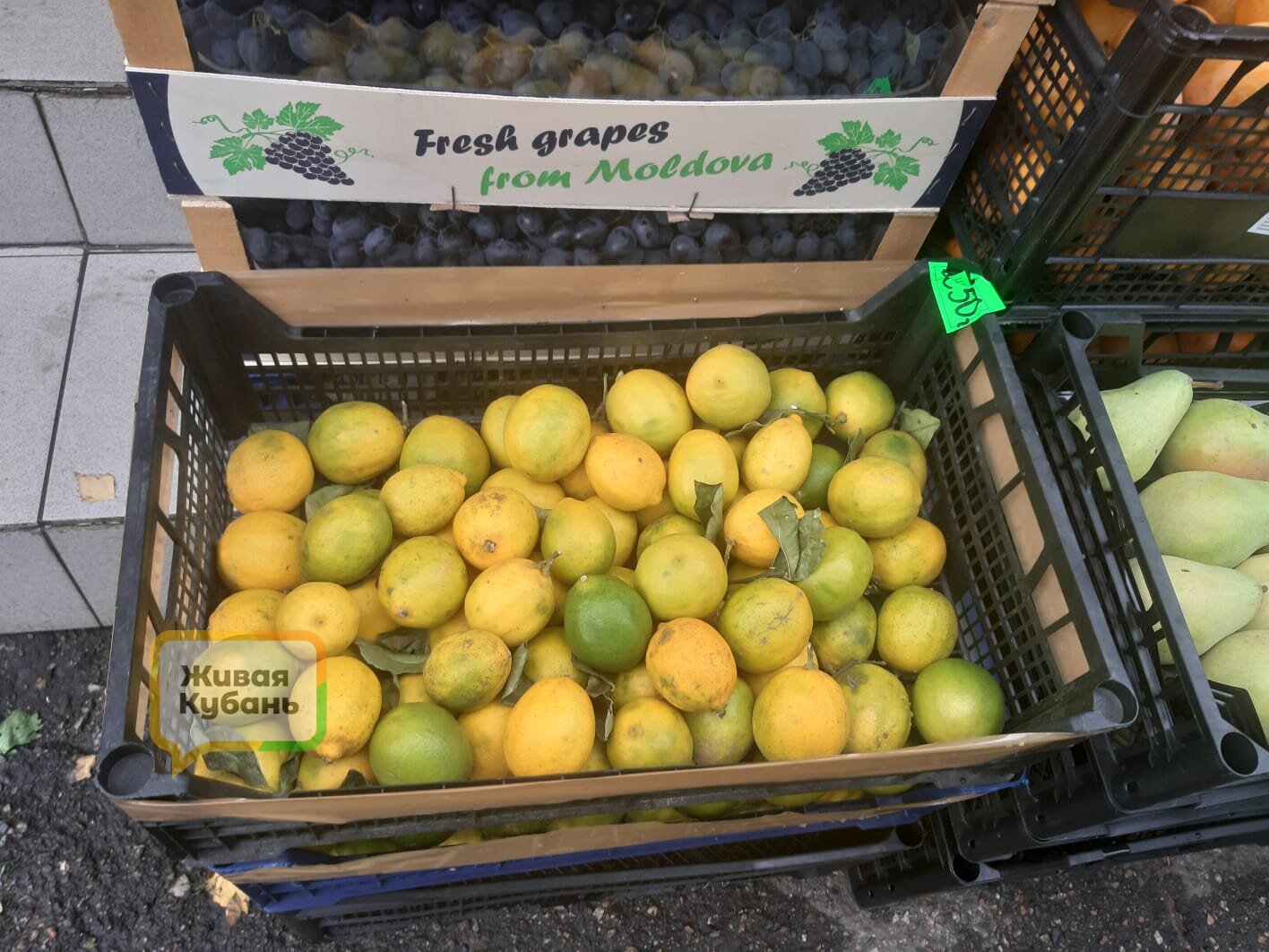 Прицениваемся: мандарины, лимоны и фейхоа в Краснодаре сильно подорожали