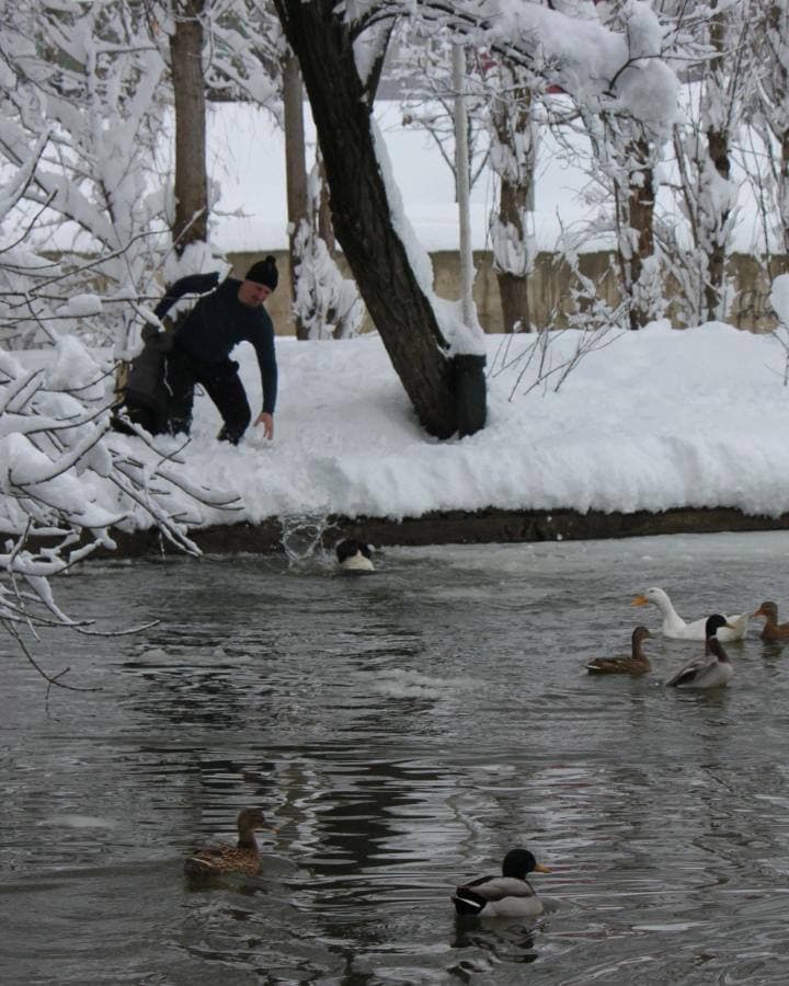 Житель Кубани вытащил пса из ледяной воды