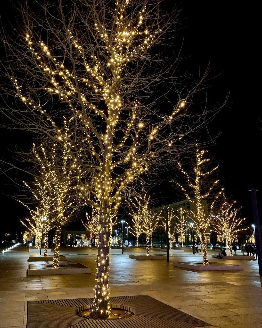 «Зимнее волшебство»: парк «Краснодар» одевается в новогоднее убранство