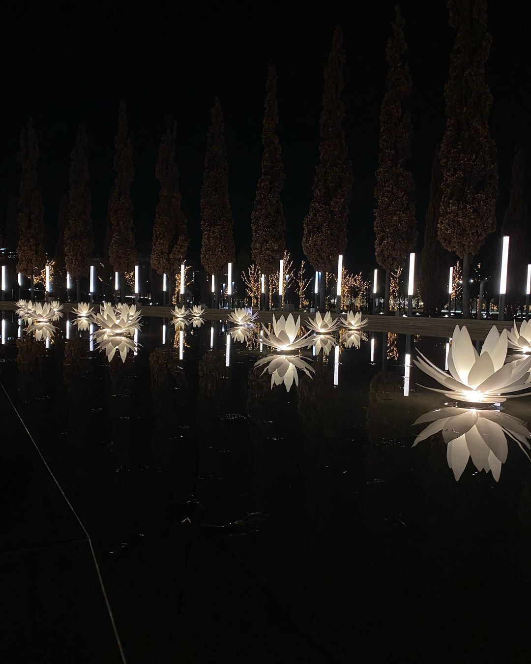 «Зимнее волшебство»: парк «Краснодар» одевается в новогоднее убранство