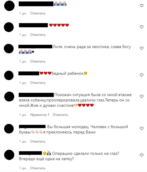 � ������������� ������ ������������� ���