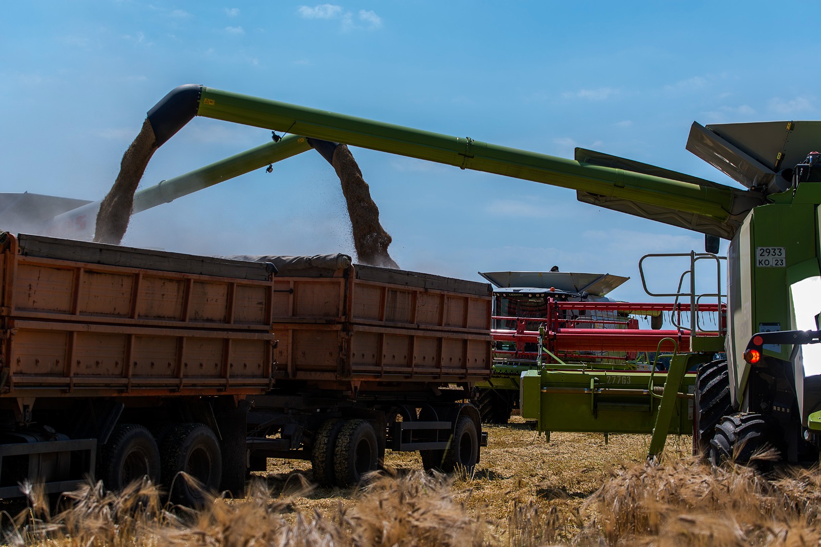 На Кубани аграрии «Прогресс Агро» собрали более 14 тысяч тонн озимого ячменя