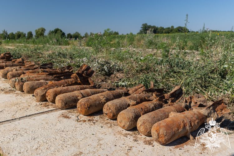 В Краснодарском крае рабочий кладбища нашел  почти 200 авиабомб ВИДЕО