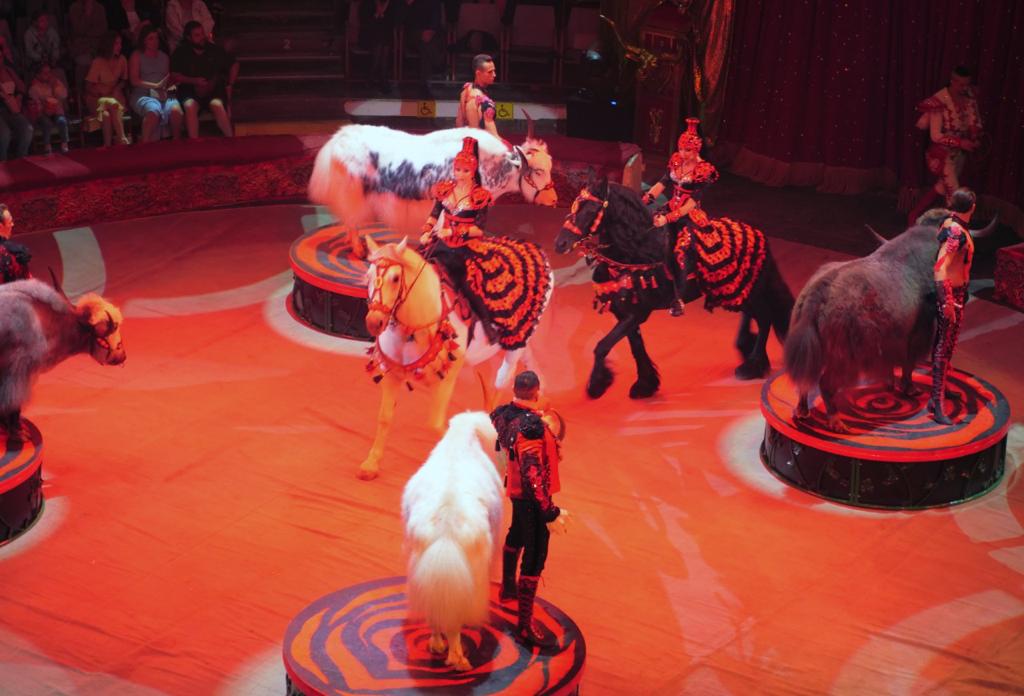 В Краснодаре состоялась грандиозная премьера «Королевского цирка»