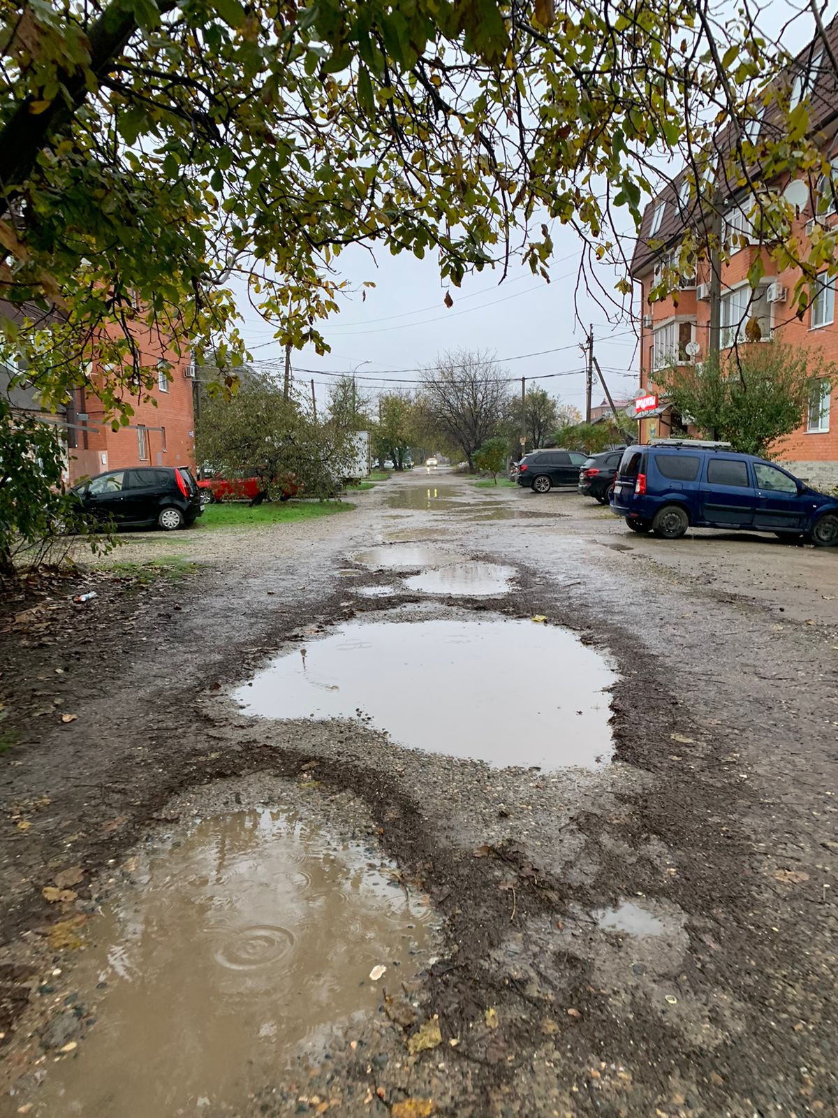 «Превратили в грязное месиво»: странным методом борются с последствиями дождей в Краснодаре