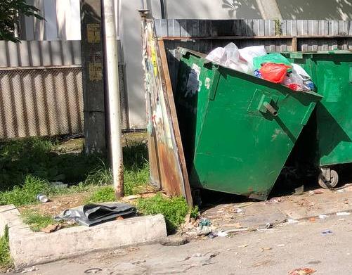 Срач: в Геленджике опять жалуются на переполненные мусорные площадки