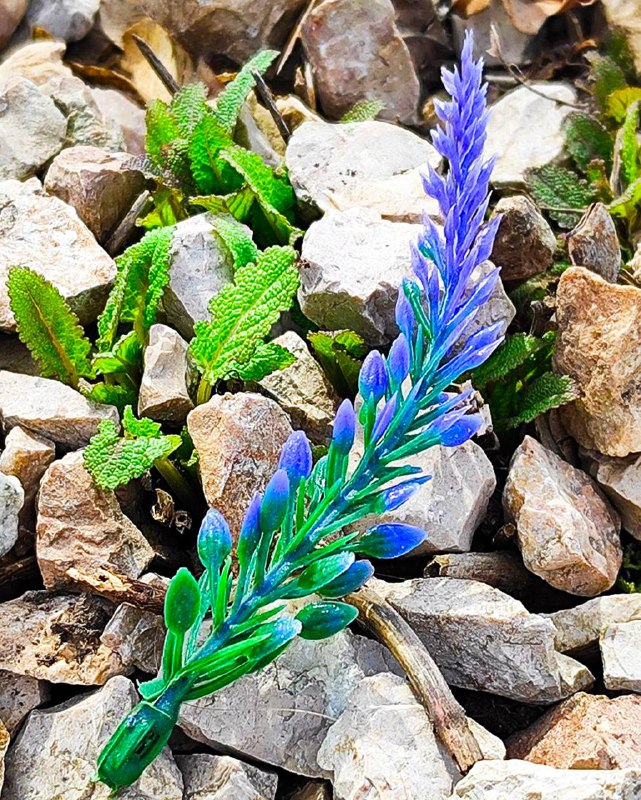 В парке Галицкого в Краснодаре убирают светящийся шалфей