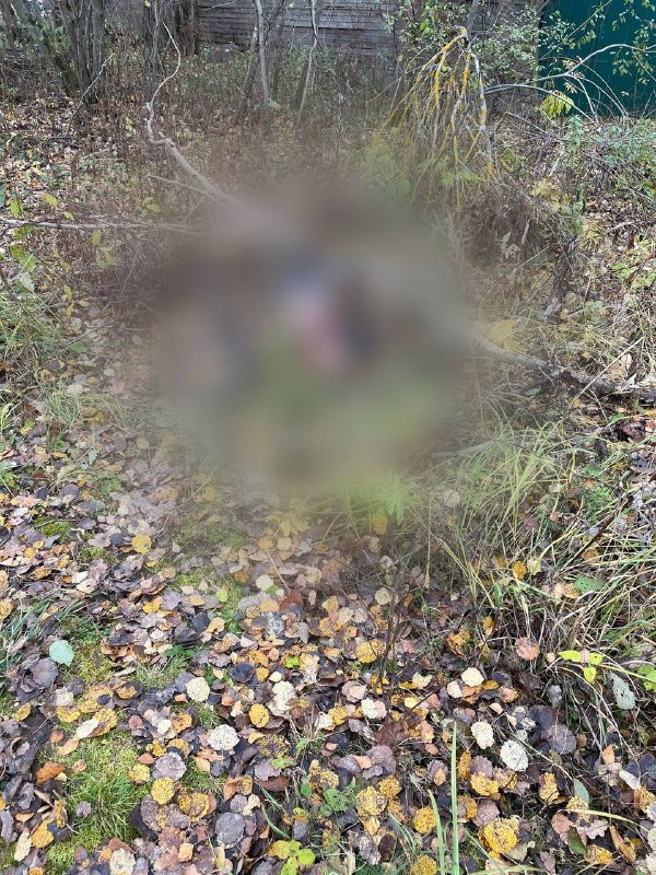 В Краснодарском крае задержали за убийство 19-летнего сына священника