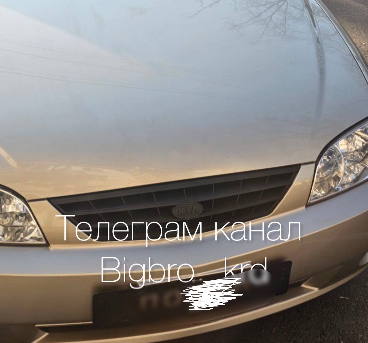 Нецензурное слово вместо госномера разместил на своем автомобиле краснодарец