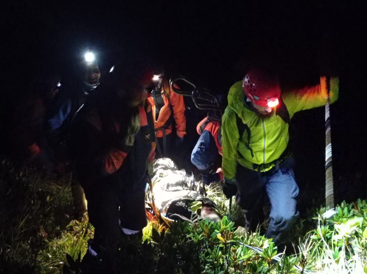 � ���� ������� � �������� �������� � ������ ����� 3 ������ ������