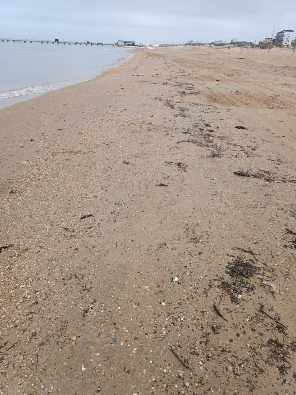 Новые выбросы мазута обнаружили на трех участках побережья Анапы 