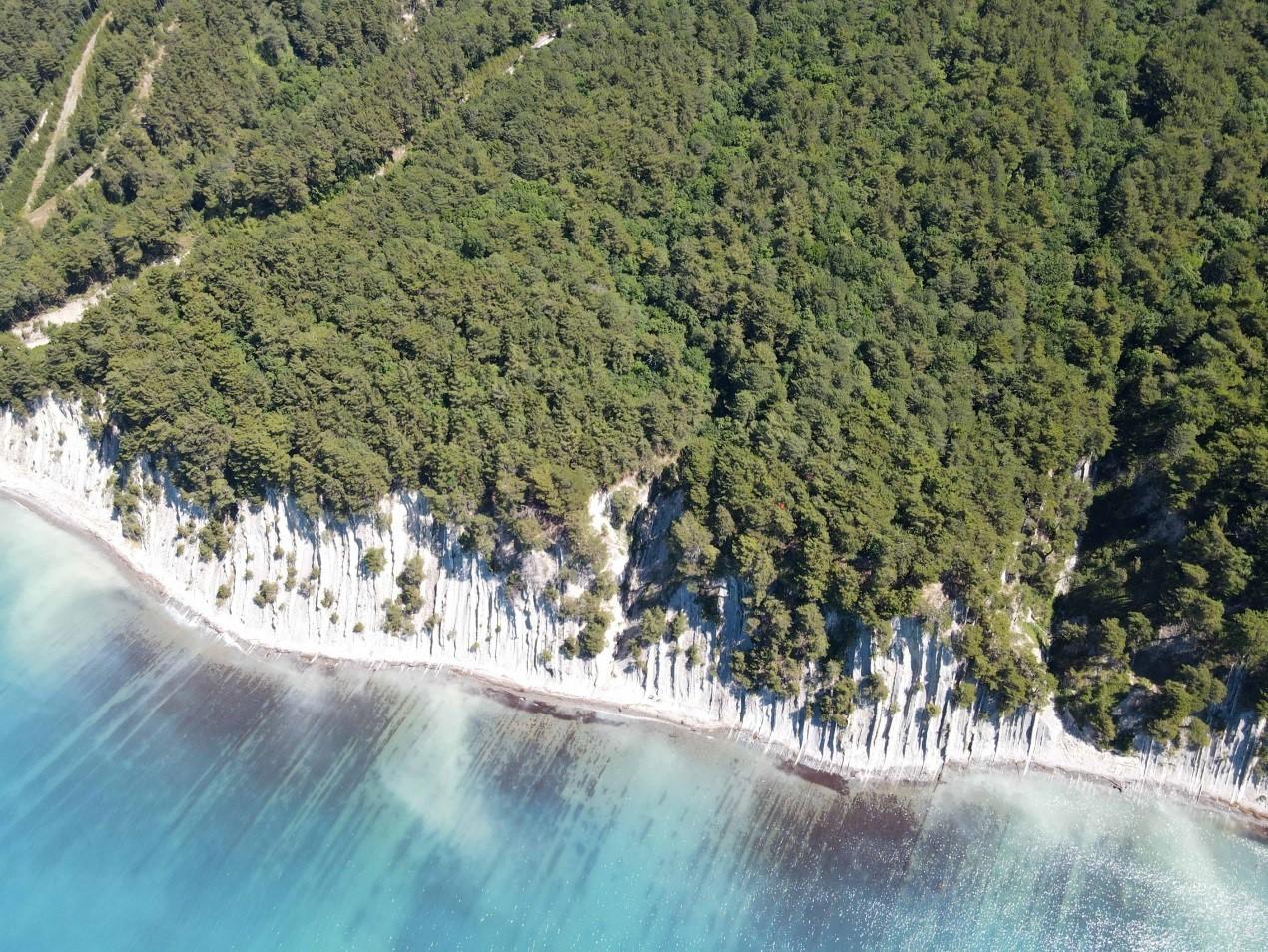 Новая особо охраняемая территория появилась на Кубани