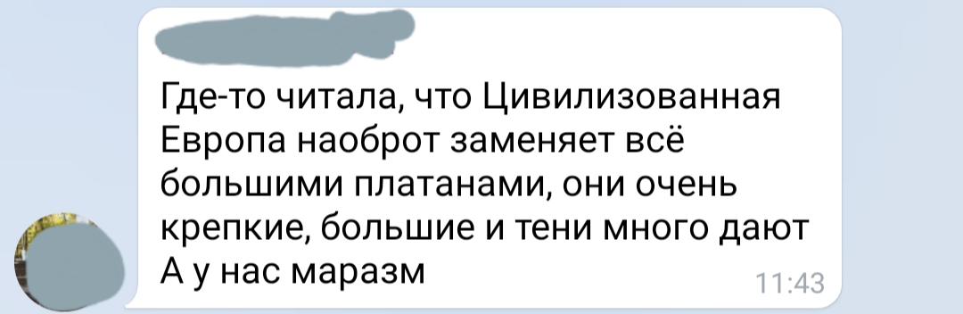 Краснодарцам не показали новый проект озеленения города