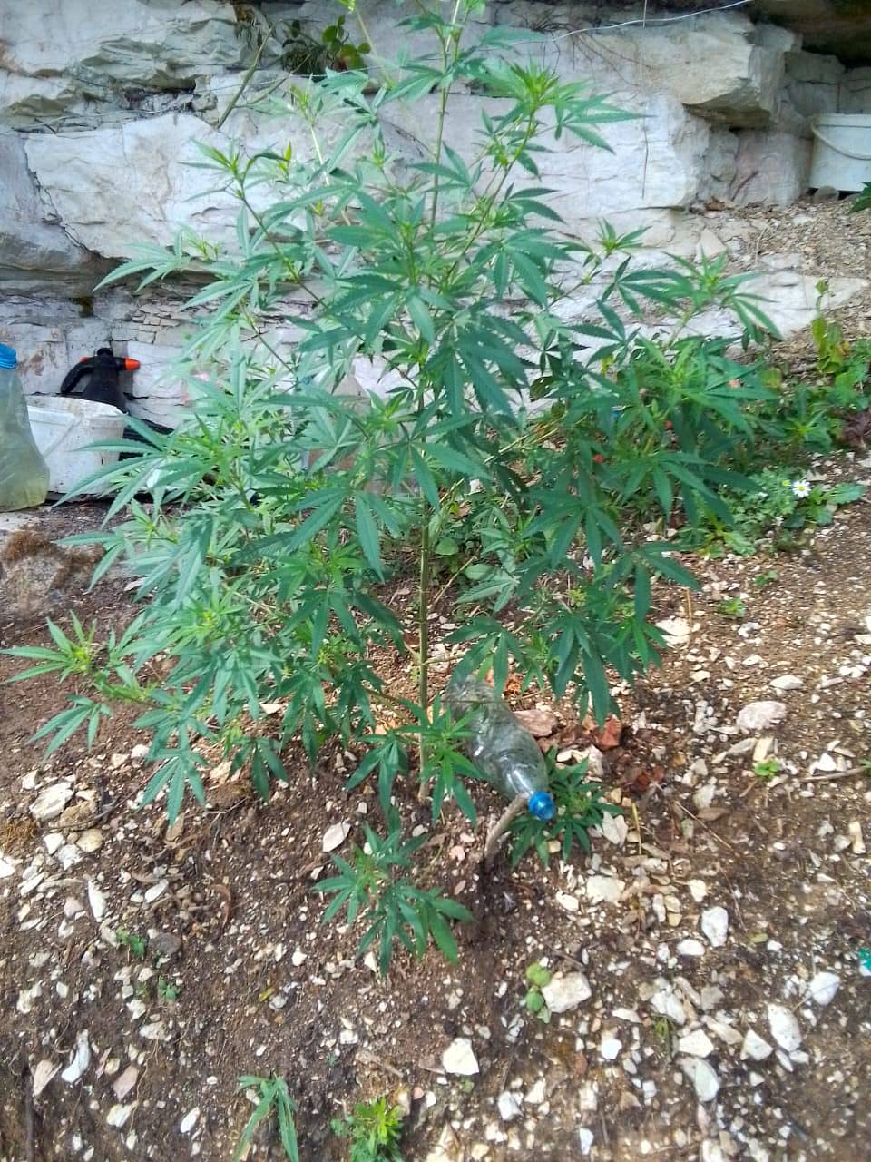 Фото: Нацпарк Сочи