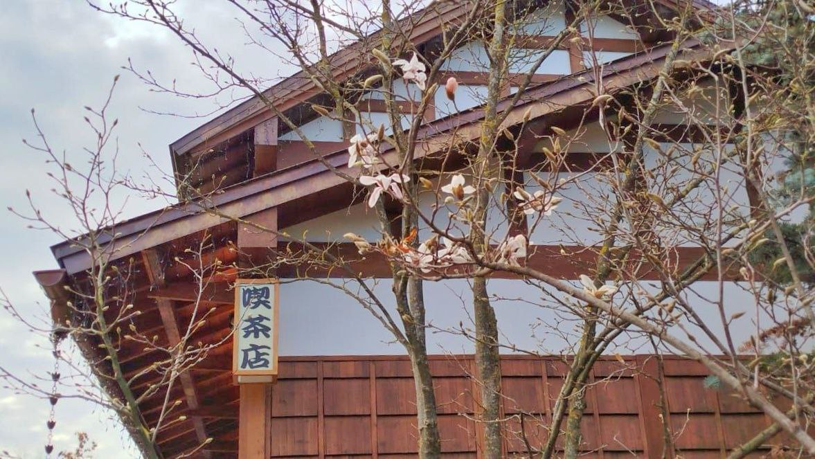 Японский сад