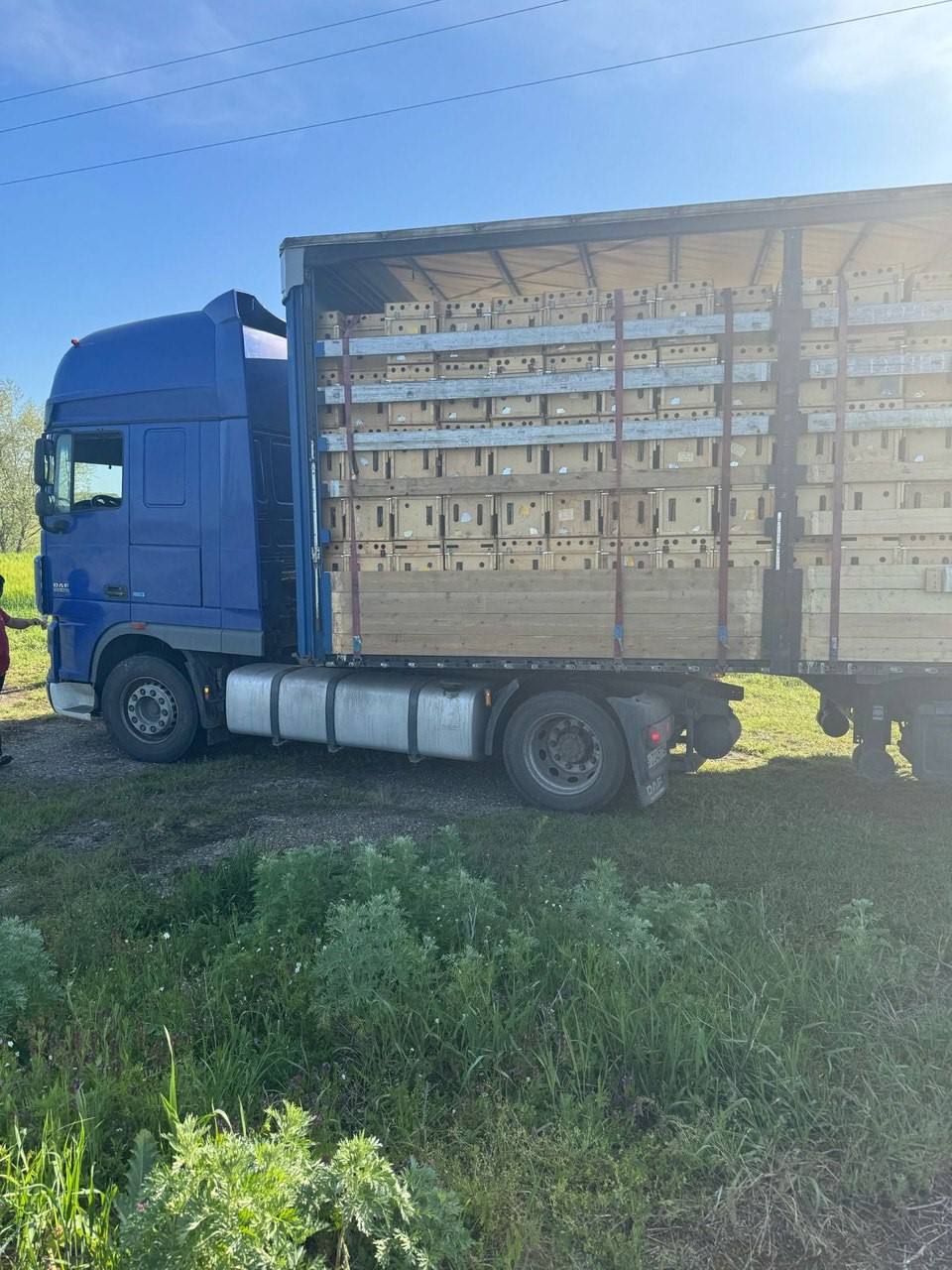 Перевозка пчёл