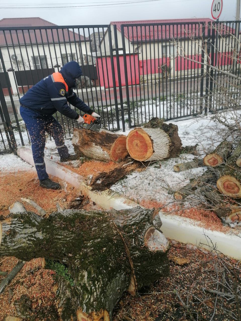 Ветер в Новороссийске