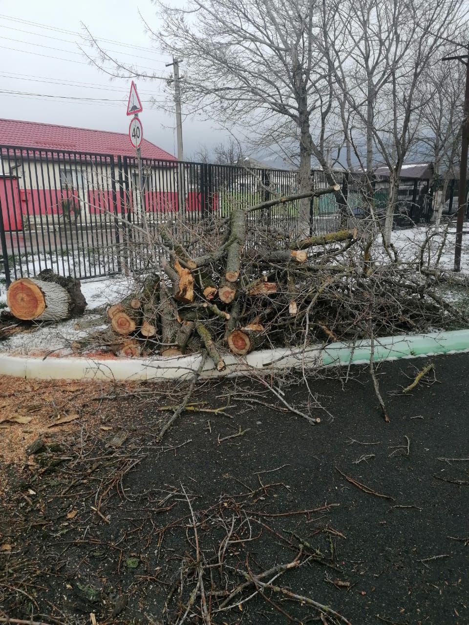 Ветер в Новороссийске