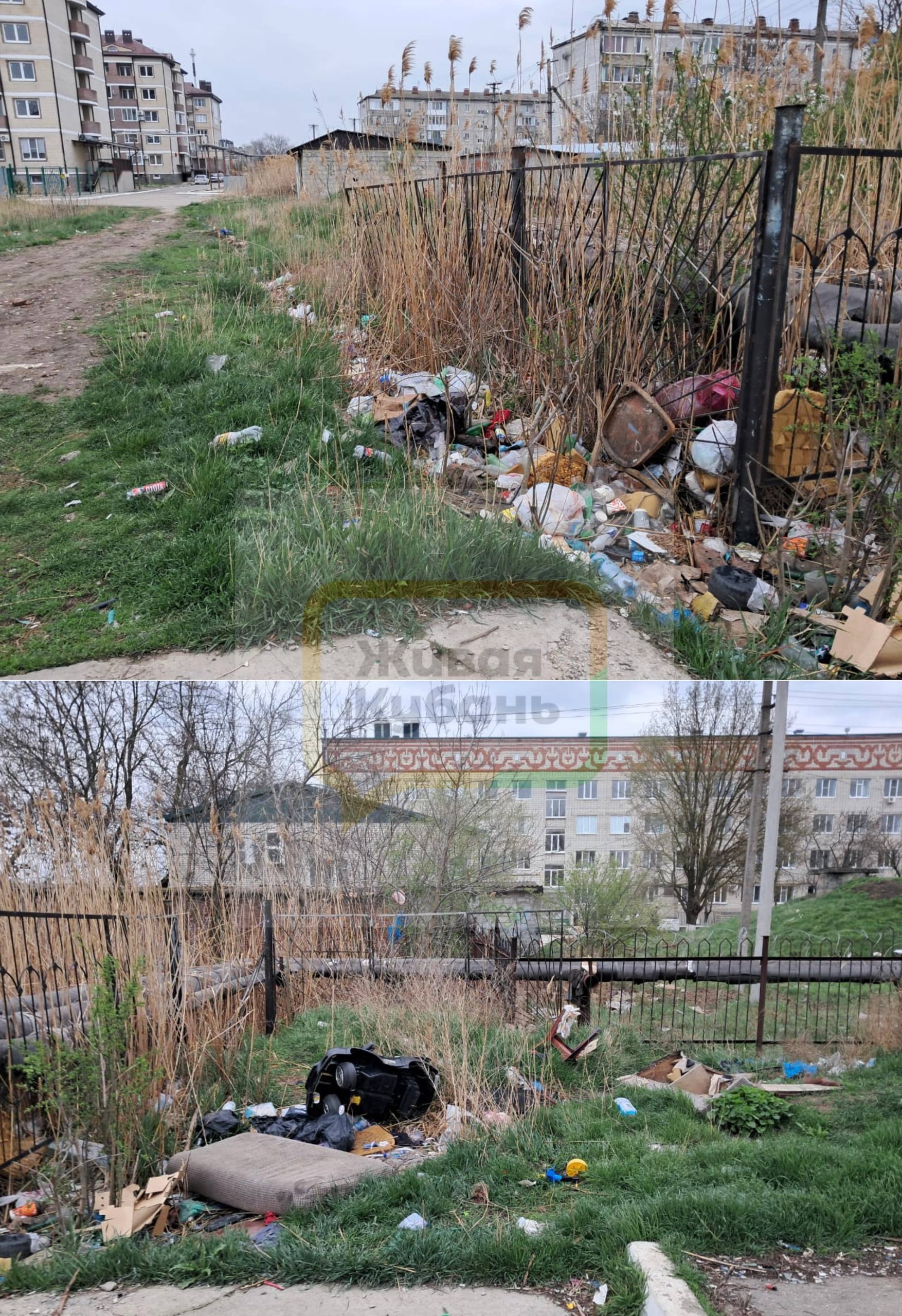 Цыгане в Краснодарском крае