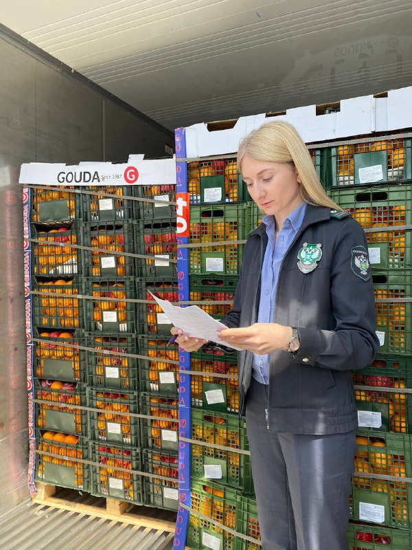 Заражённые апельсины из Египта