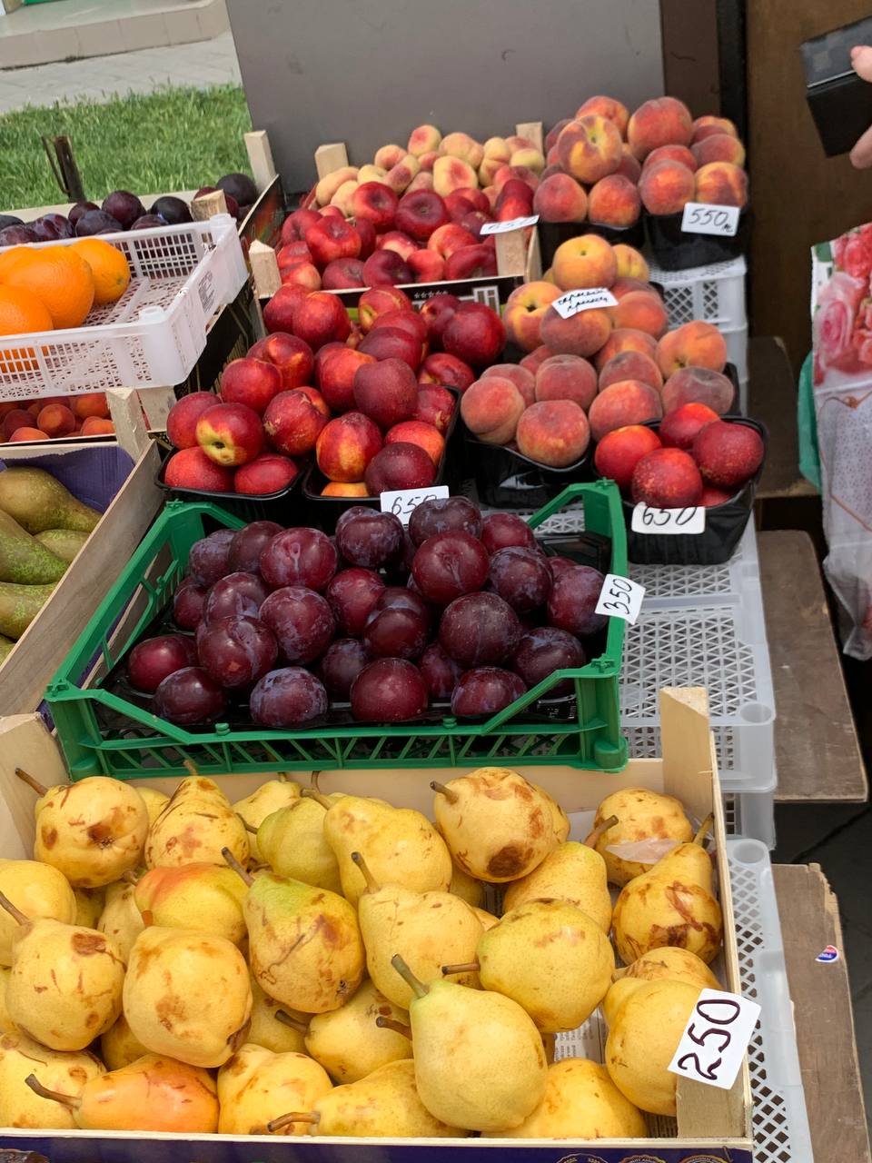 Цены на фрукты в Краснодарском крае