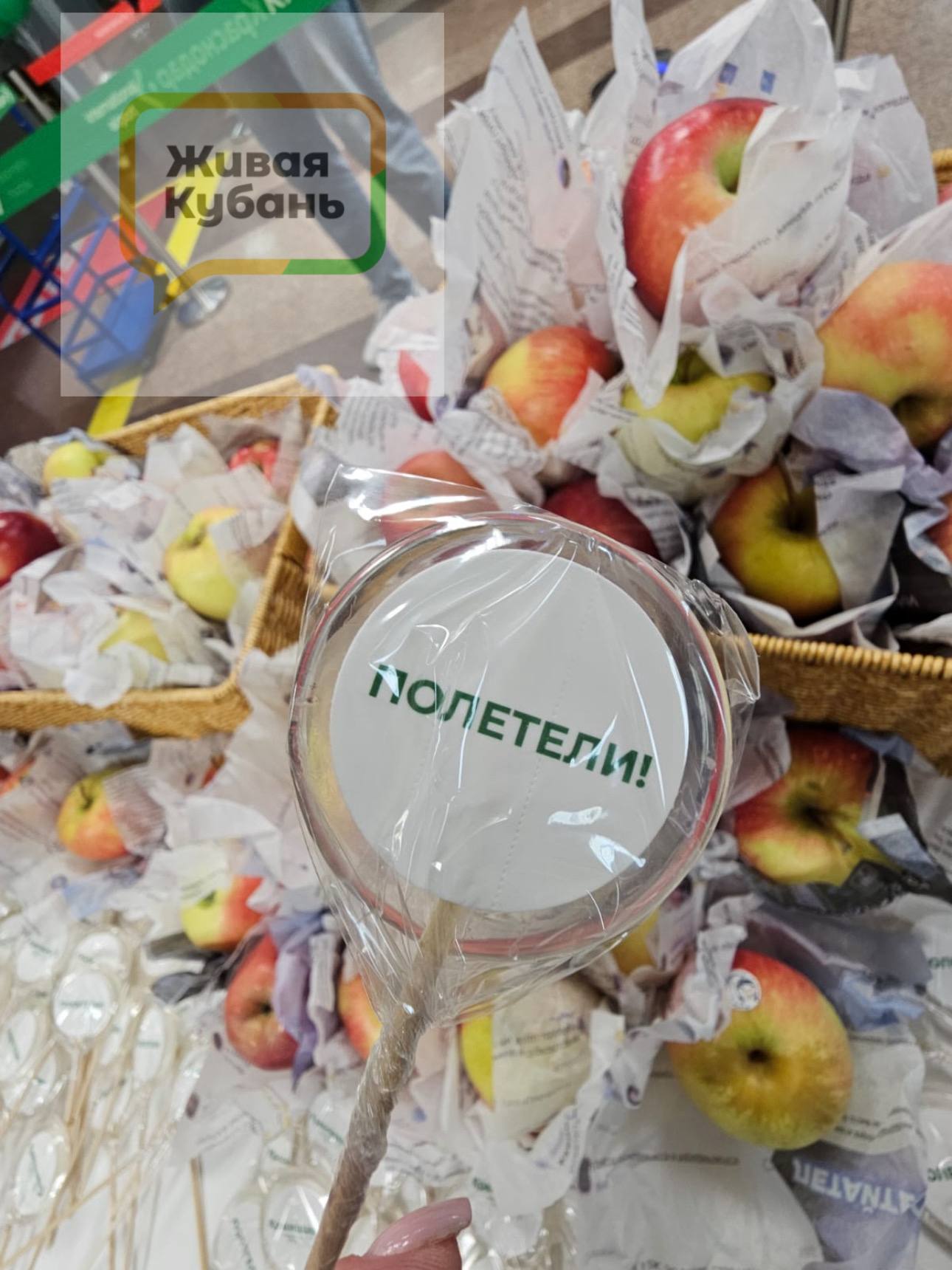 Аэропорт Краснодара