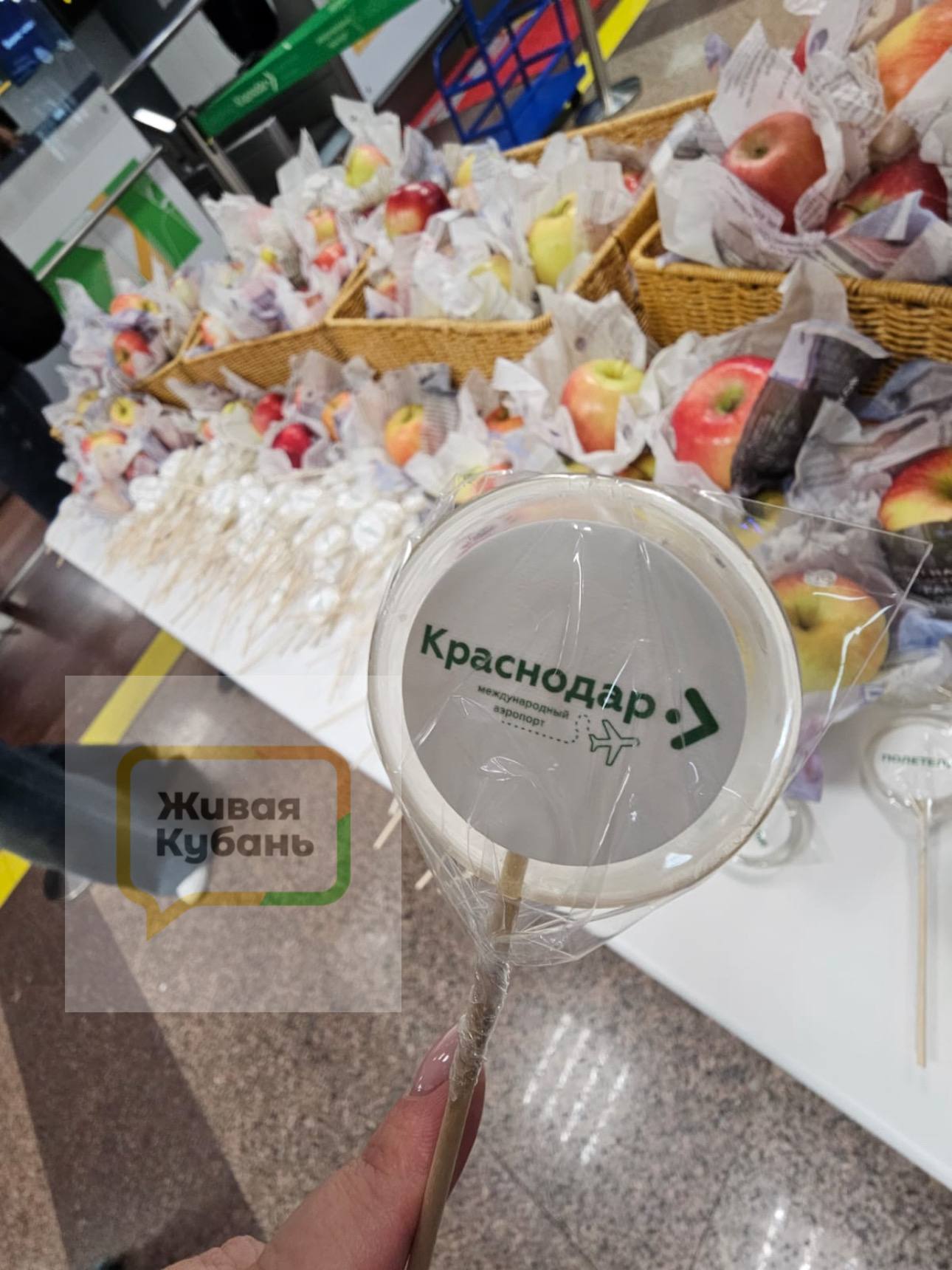 Аэропорт Краснодара