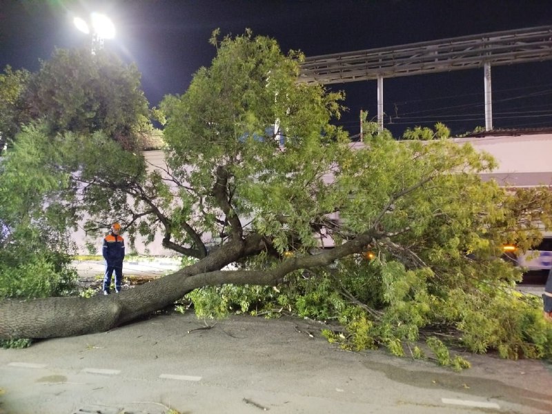 Ветер в Новороссийске