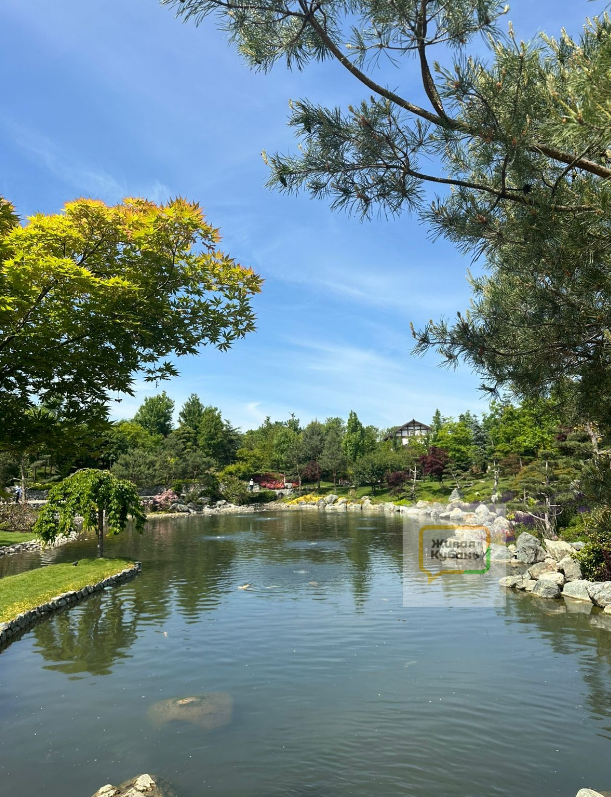 В парке Галицкого в Краснодаре посетителей считают по головам