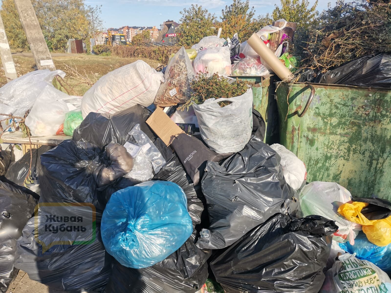 Краснодар погряз в свалках: власти ищут выход