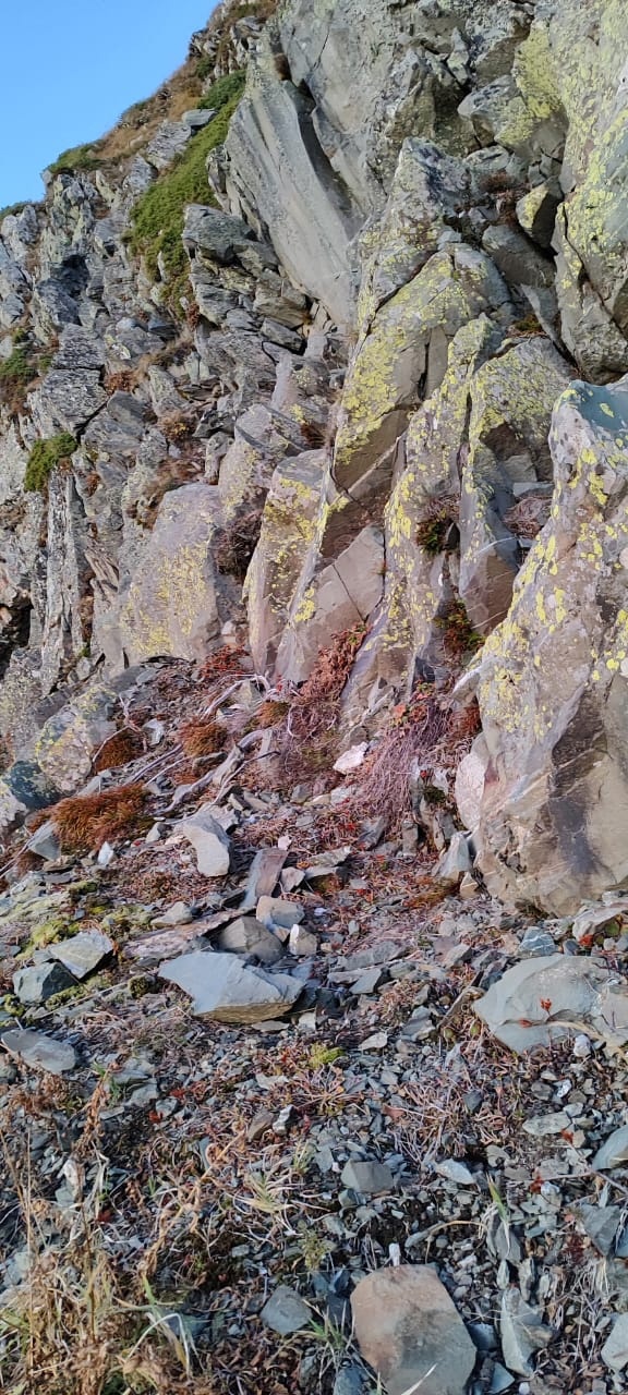 В Сочи отец с дочерью целую ночь провели на склоне горы, пока ждали спасателей