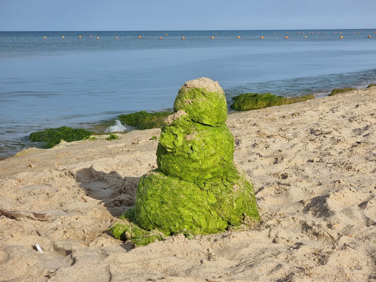 В Анапе туристы придумали, как использовать водоросли из моря ВИДЕО