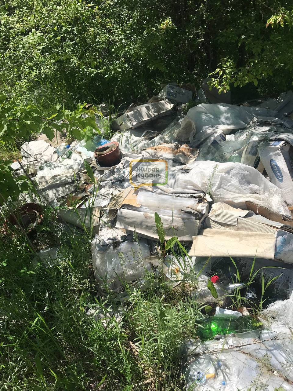 В Северском районе Кубани нашли свалку медицинских отходов ВИДЕО
