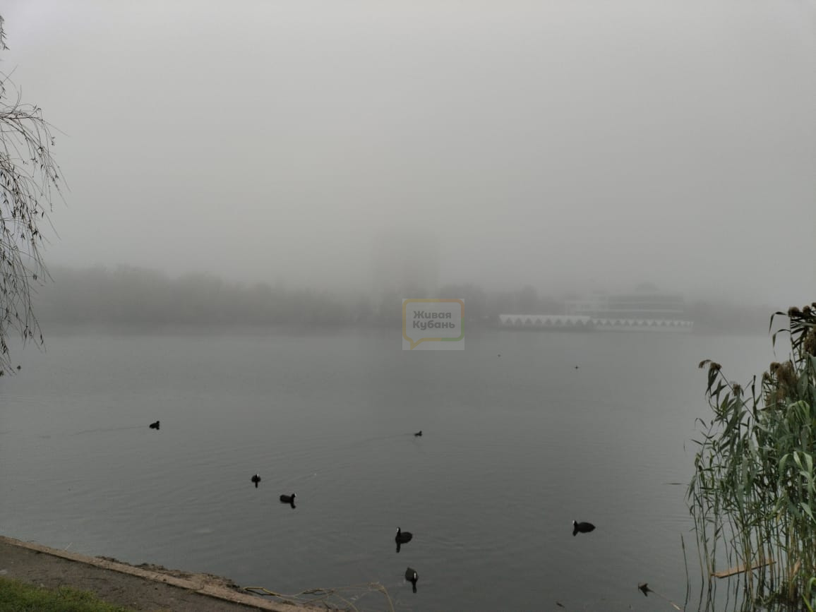 Сильный туман в самаре. Мурманск туман. Ник туманов фото. Замерзающий клочьями туман. Утренний туман самара.