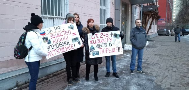 В Москве вынесли приговор серийному убийце кошек