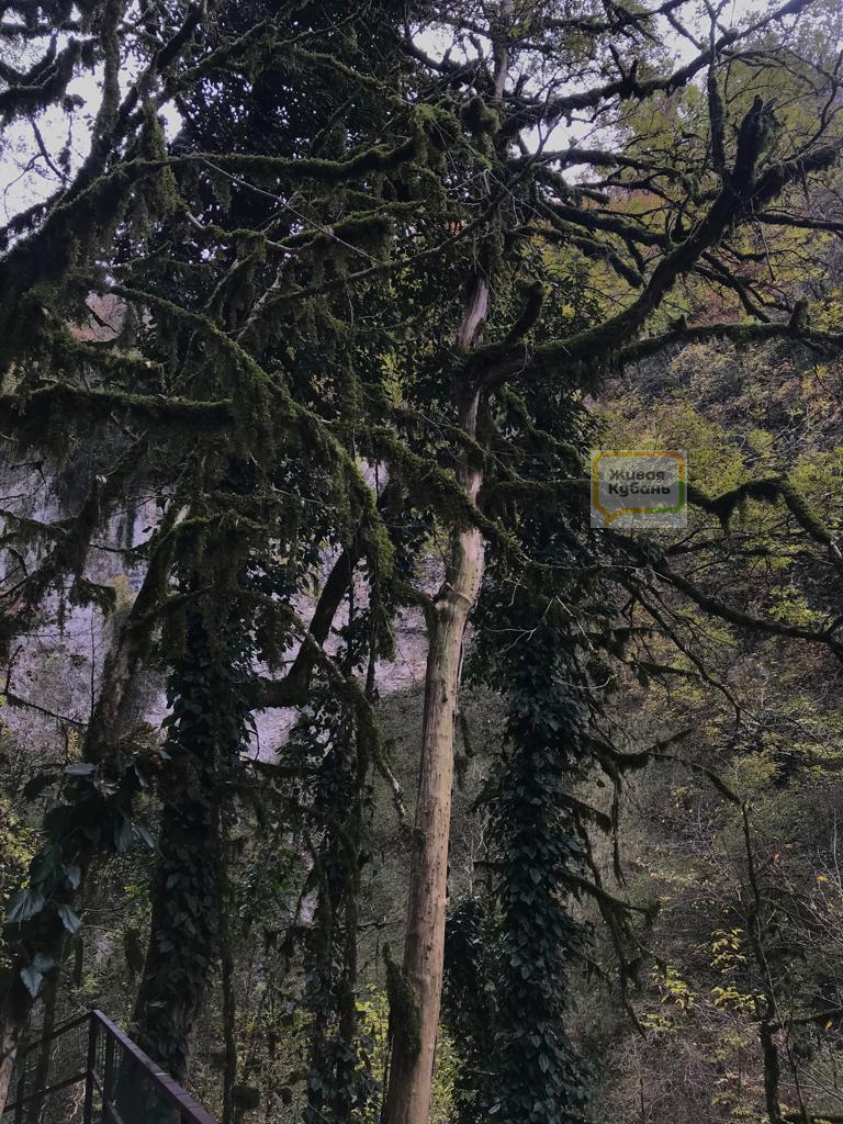 В селе Монастырь под Сочи туристы могут угодить в Пасть Дракона 