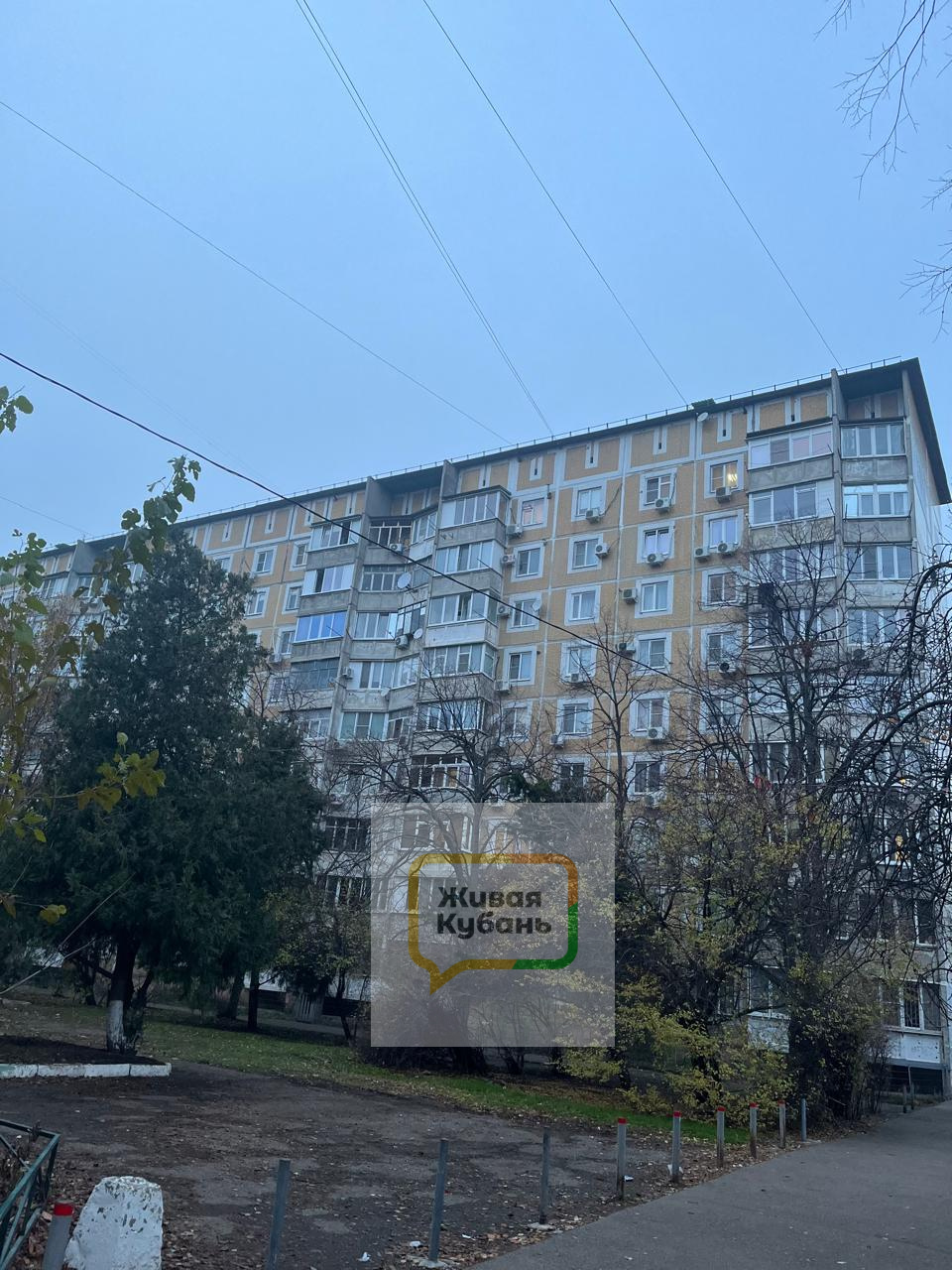 Живая Кубань