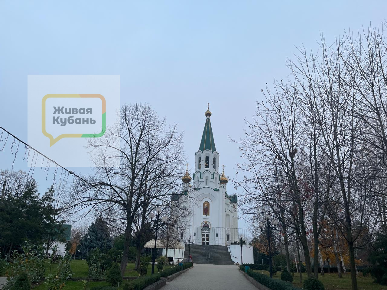 Живая Кубань