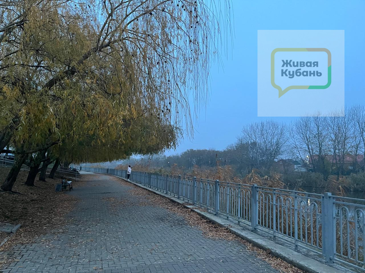 Живая Кубань