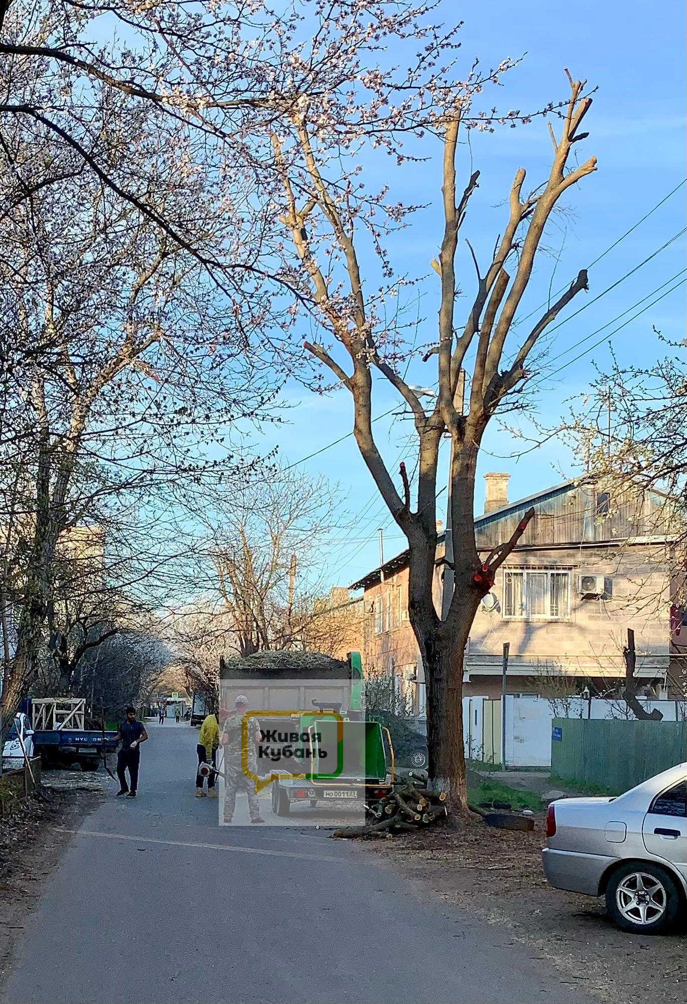 пашковка