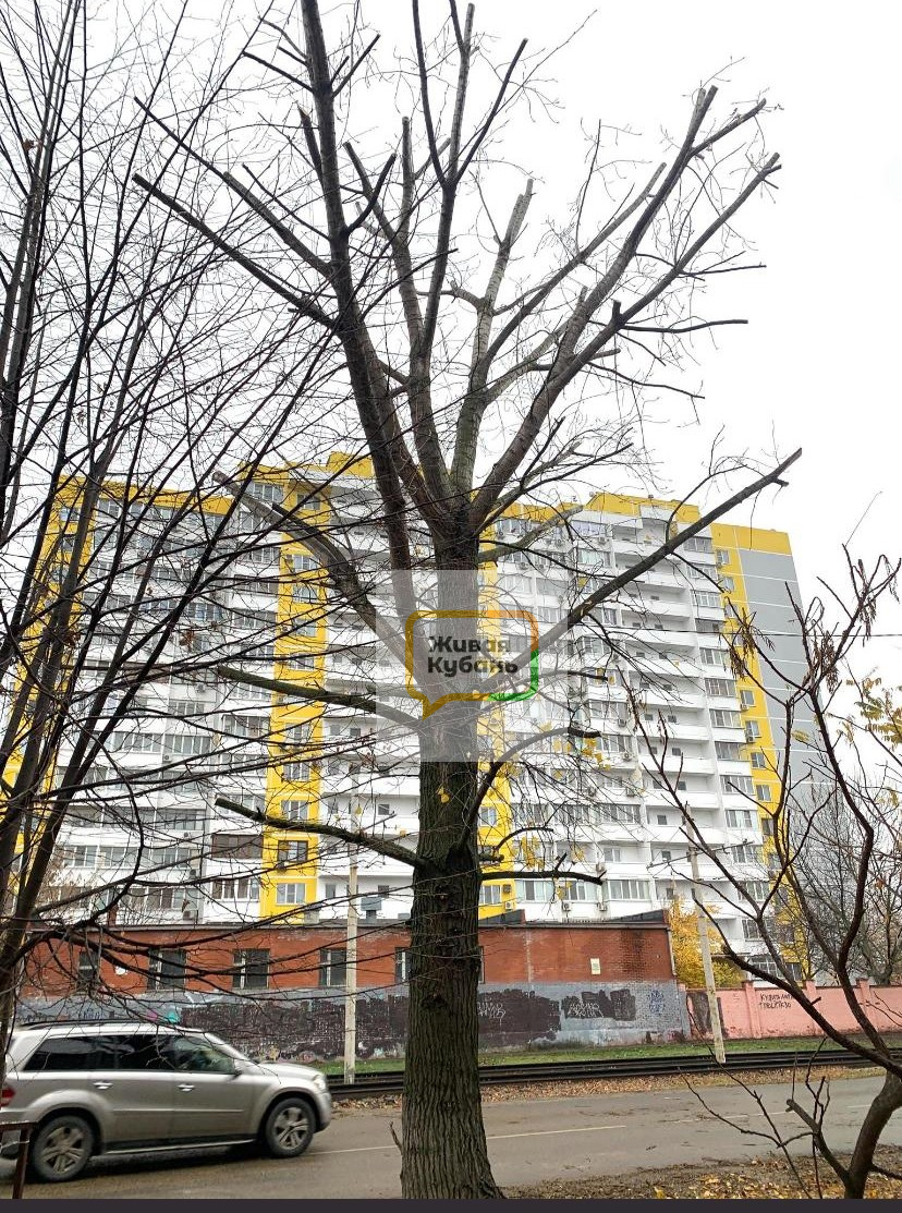 Пашковка