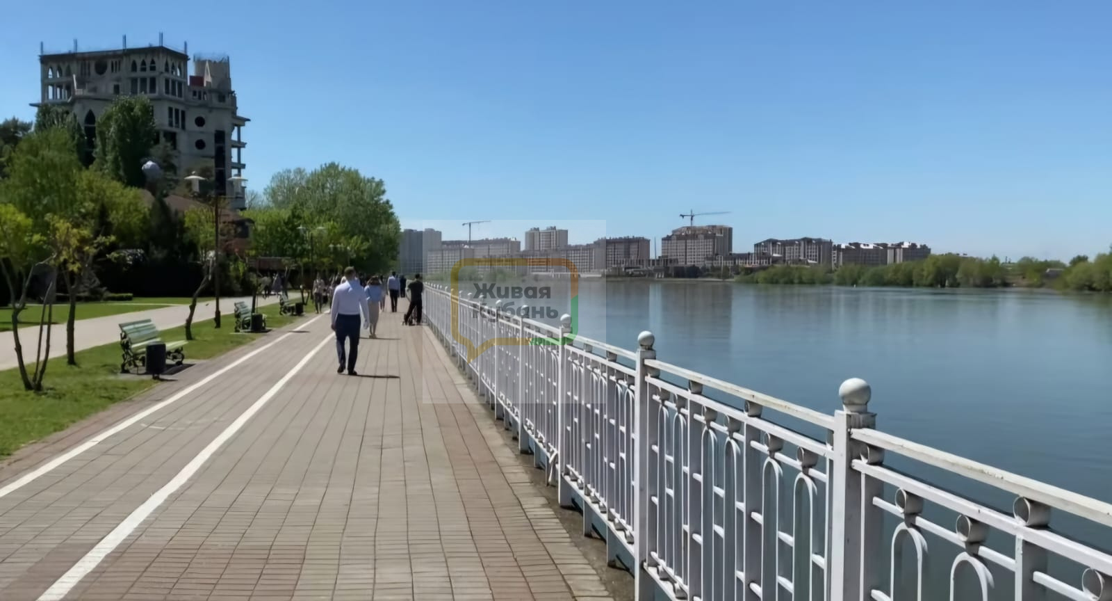 Живая кубань